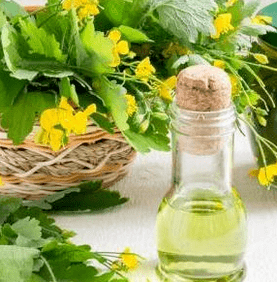 Celandine w walce z grzybem